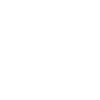 ico-car.png